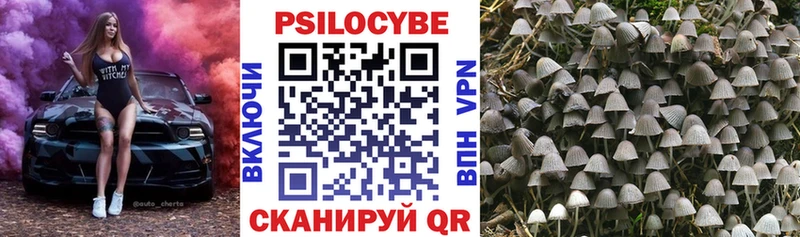Галлюциногенные грибы Psilocybe  Купить  Ликино-Дулёво 